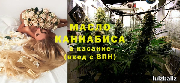 дмт Лагань