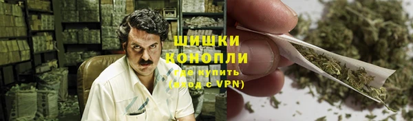 МДПВ Липки