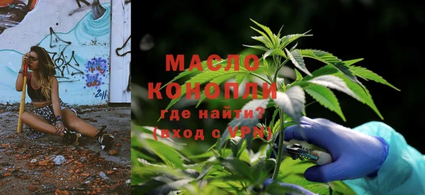 дмт Лагань