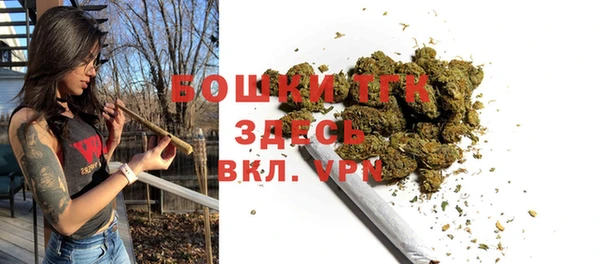 МДПВ Липки