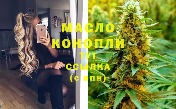 дмт Лагань